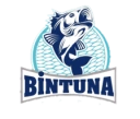Bintuna
